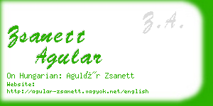 zsanett agular business card